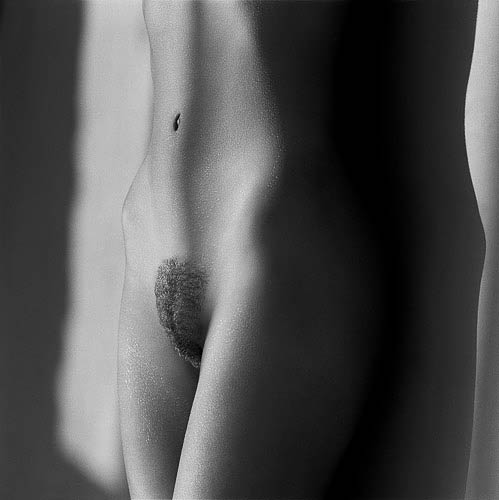 Nude #15